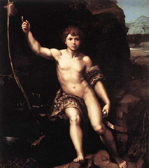 RAFFAELLO Sanzio St John the Baptist oil painting image